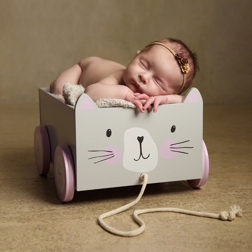 Infant portrait photography
