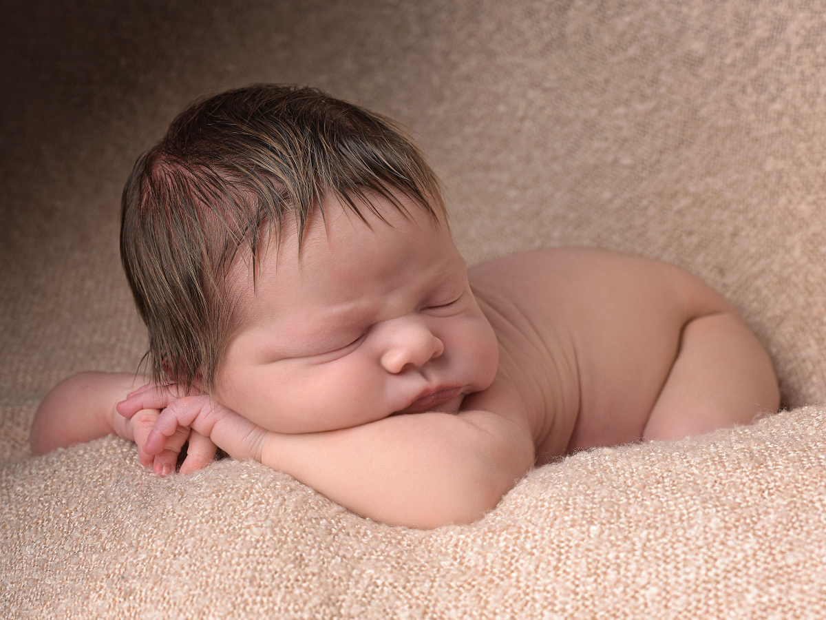 Newborn portrait photography