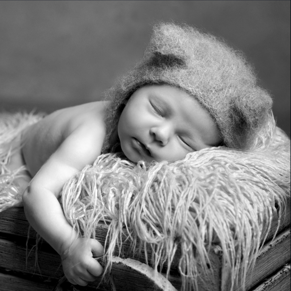 Newborn portrait photography