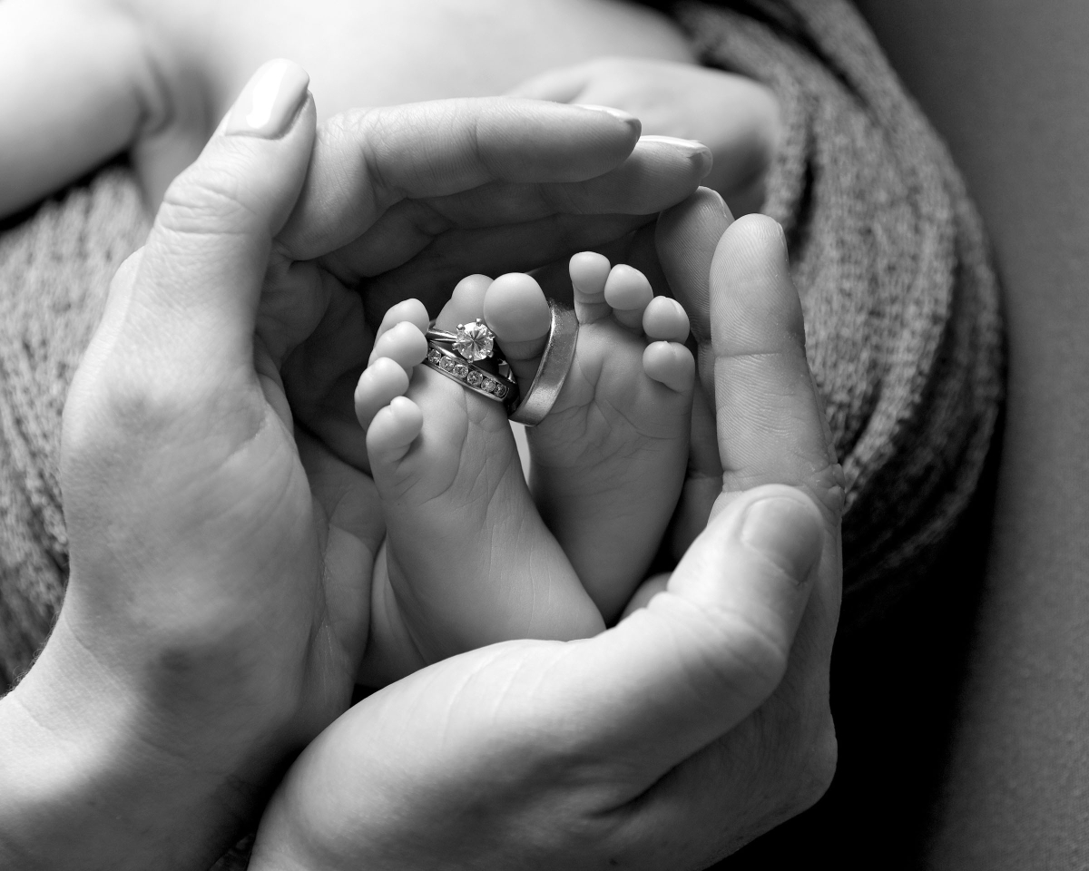 Newborn portrait photography