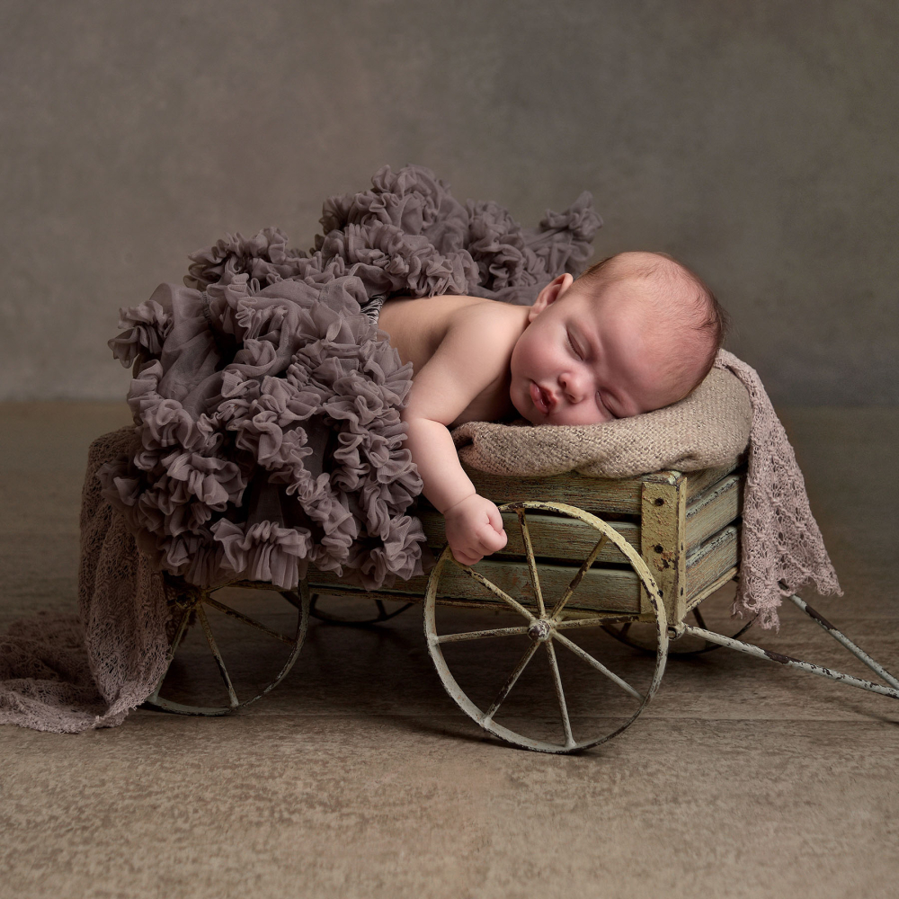 Newborn portrait photography