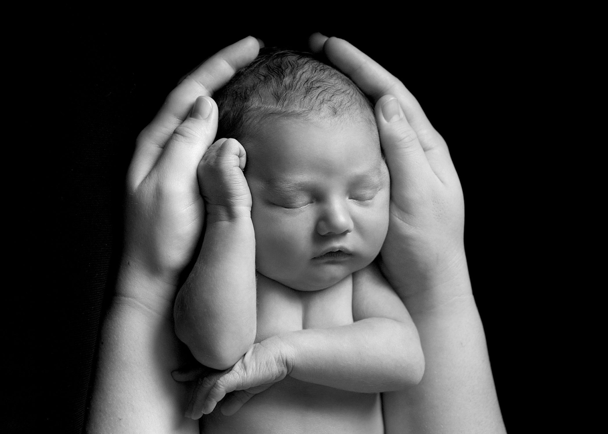 Newborn portrait photography