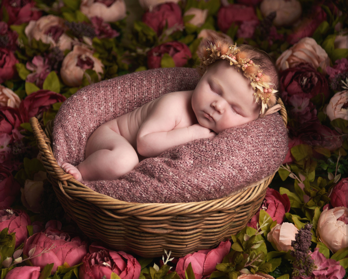 Newborn portrait photography