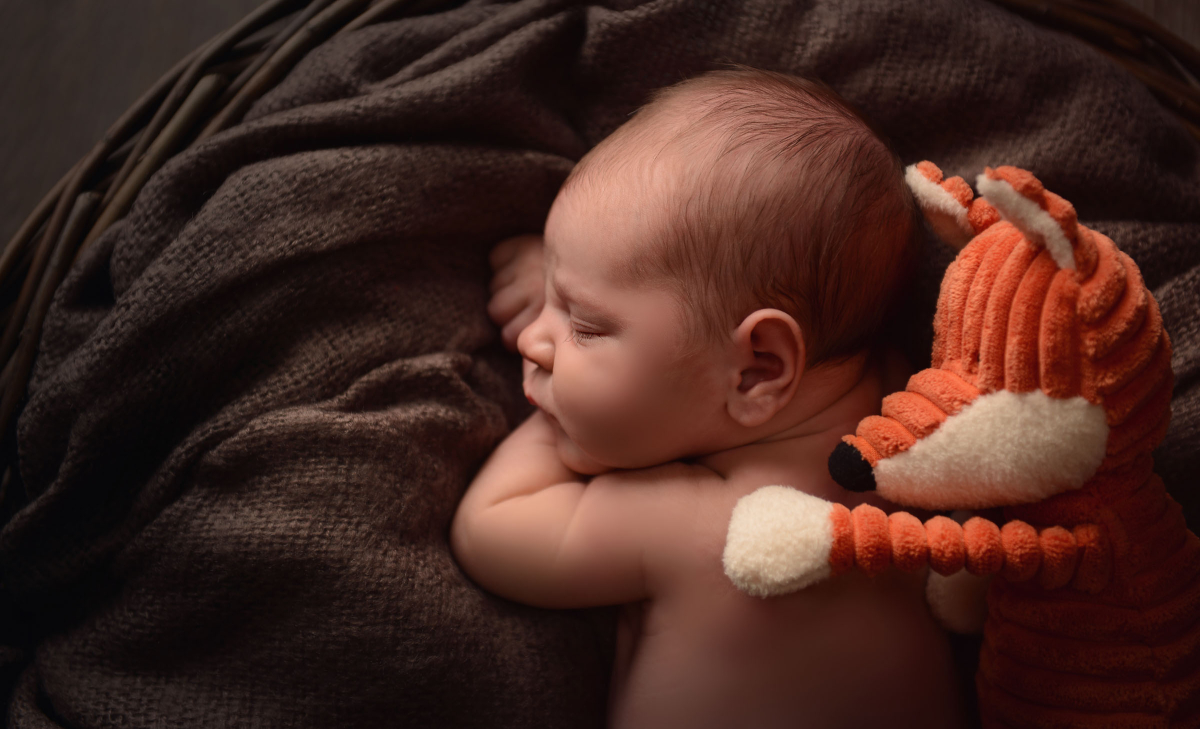 Newborn portrait photography