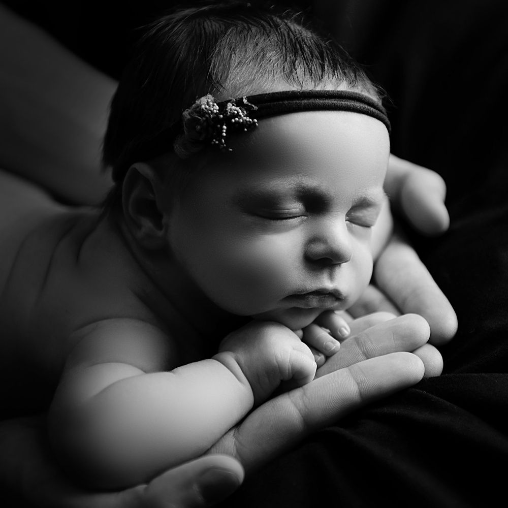 Newborn portrait photography