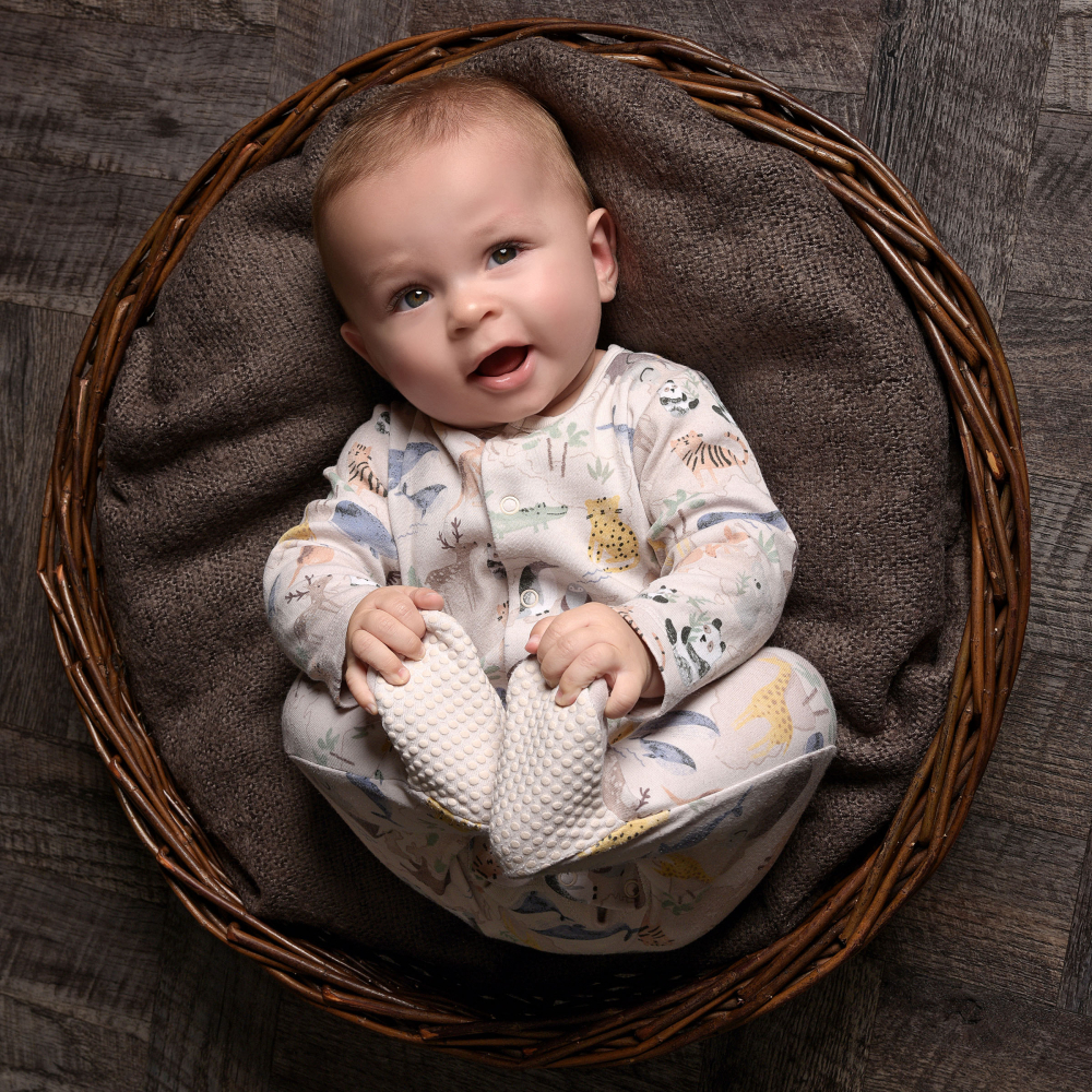 Newborn portrait photography