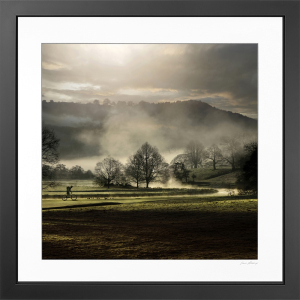 Through the mist